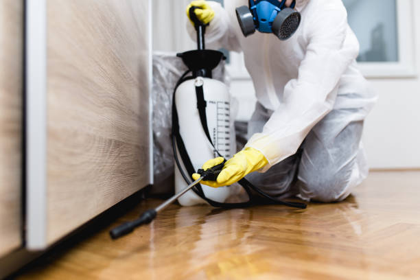 Best Emergency Pest Control  in Brewton, AL