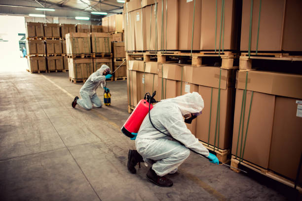 Best Flea Control Services  in Brewton, AL
