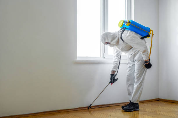 Best Termite Control Services  in Brewton, AL