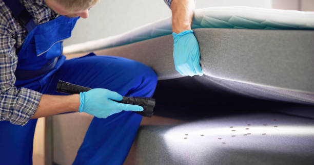 Best Cockroach Control Services  in Brewton, AL