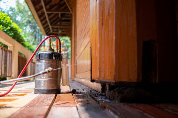 Best Affordable Pest Control Services  in Brewton, AL