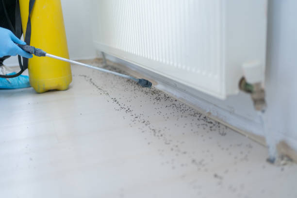 Best Pest Removal Services  in Brewton, AL