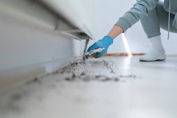 Best Mosquito Control Services  in Brewton, AL
